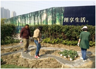 QQ图片20150415143008.jpg