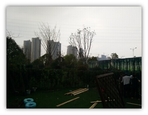 QQ图片20150415143653.jpg