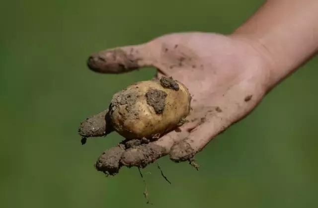 0.webp (6).jpg