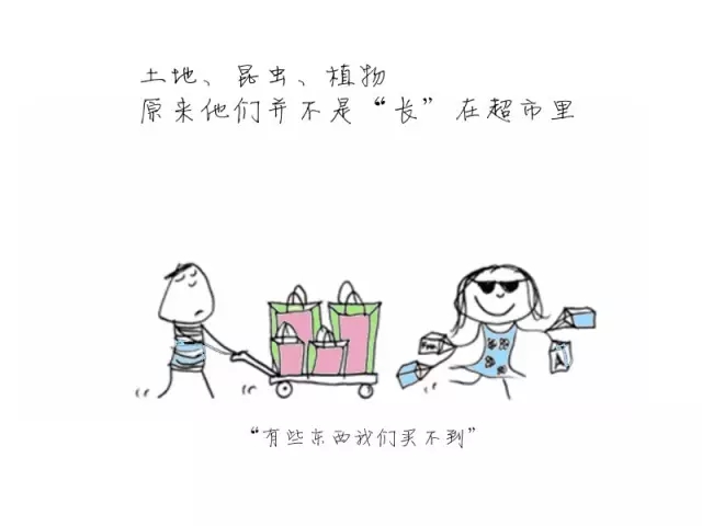 640.webp (12).jpg