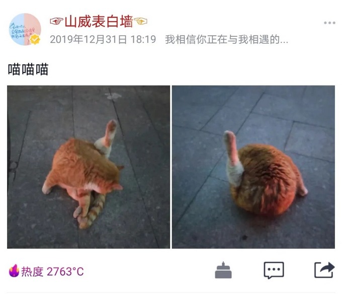 4.jpg 4.jpg