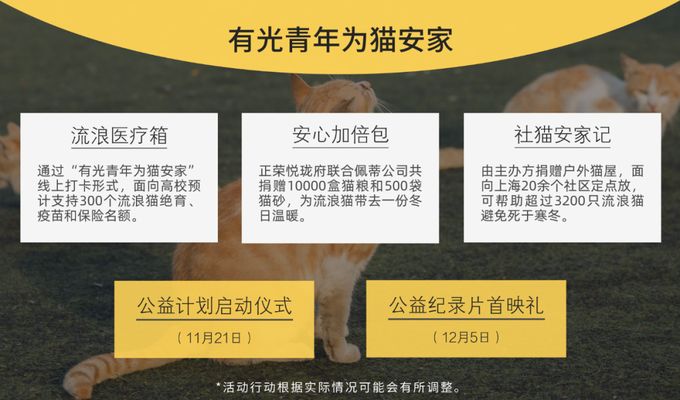 640 (1)_结果.jpg 640 (1)_结果.jpg