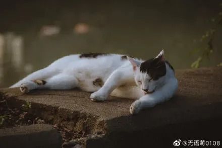 640_结果.jpg
