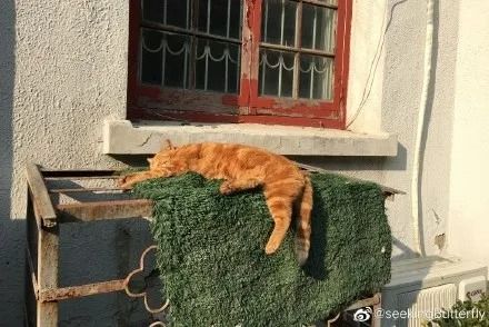 640 (1)_结果.jpg