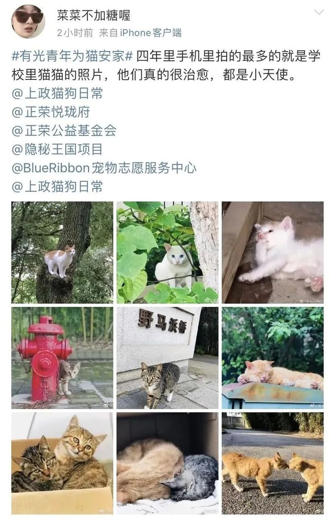 640 (4)_结果.jpg
