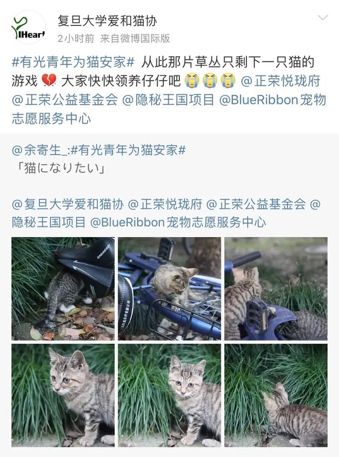 640 (7)_结果.jpg