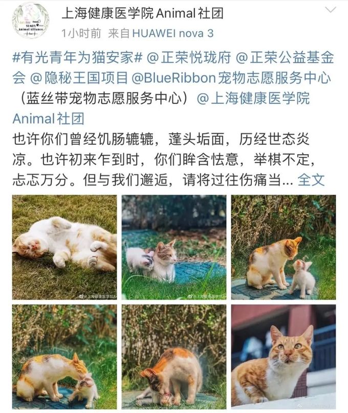 640 (6)_结果.jpg