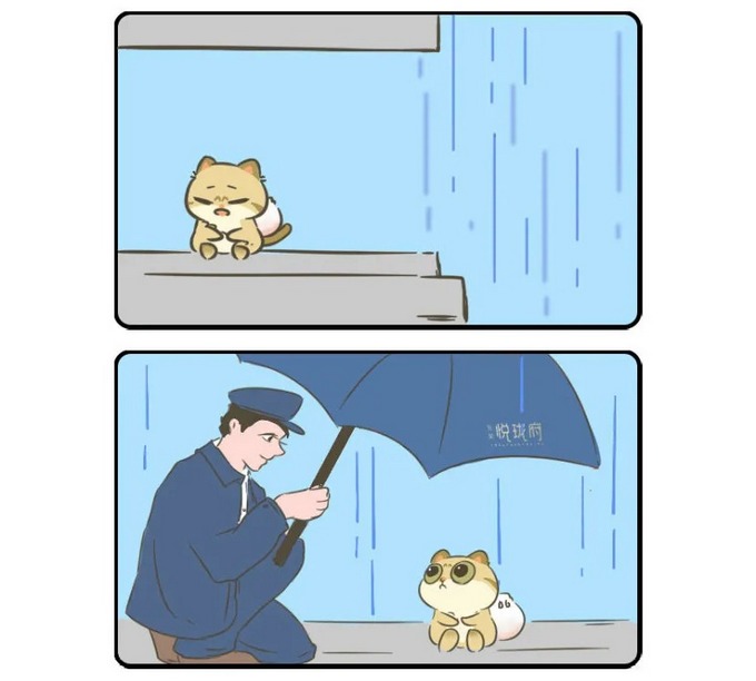 9.jpg 9.jpg