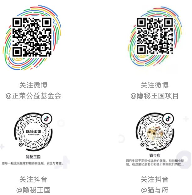 1_结果.jpg