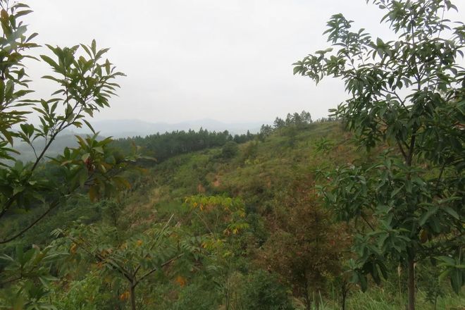 image12.jpg image12.jpg