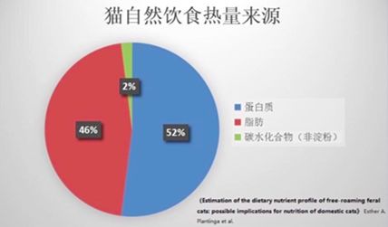 DM_20210524204424_002_结果.jpg