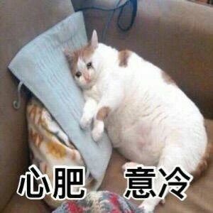 DM_20210524204424_003_结果.jpg
