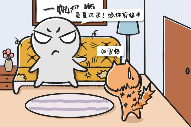 DM_20210615214141_008_结果.jpg