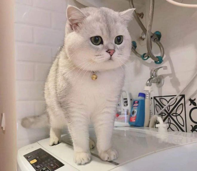 image11.jpg image11.jpg