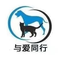 DM_20210809205101_017_结果.jpg DM_20210809205101_017_结果.jpg