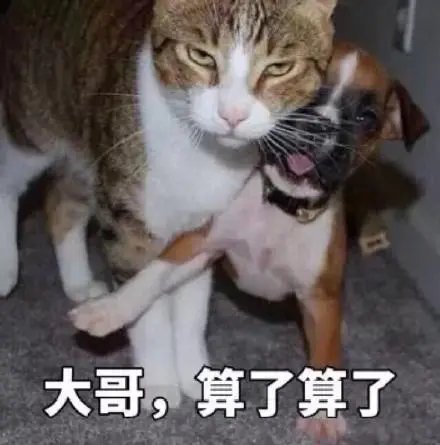 DM_20210816212007_002_结果.jpg DM_20210816212007_002_结果.jpg