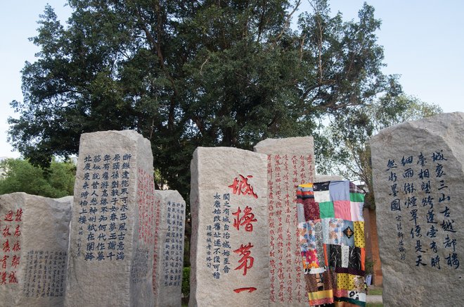 DM_20210823200406_019_结果.jpg