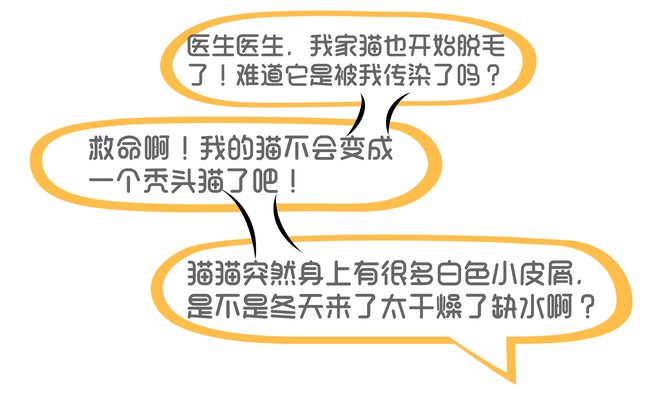 pic_001_结果.jpg