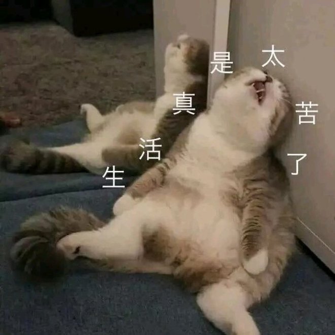 pic_015_结果.jpg