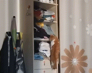 pic_016.gif pic_016.gif