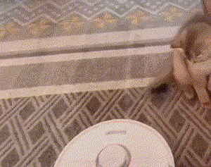 pic_003.gif pic_003.gif