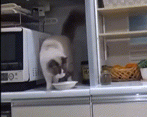 pic_005.gif pic_005.gif