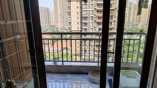 pic_007_结果.jpg