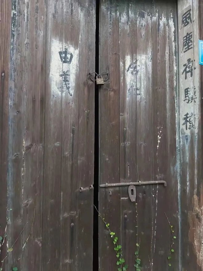 pic_005_结果.jpg pic_005_结果.jpg