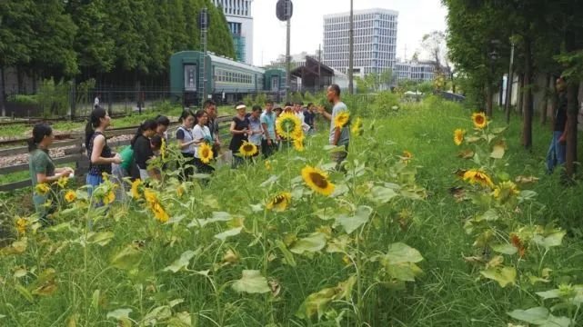 pic_024_结果.jpg pic_024_结果.jpg
