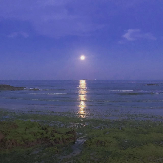 DM_20220310223553_005_结果.png DM_20220310223553_005_结果.png