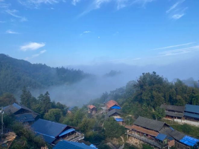 DM_20240729211625_005_结果.jpg DM_20240729211625_005_结果.jpg