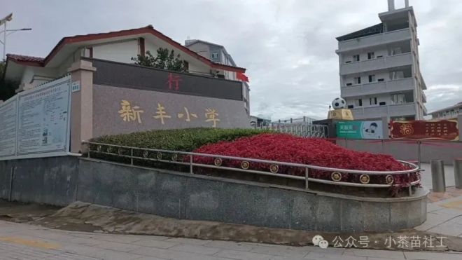DM_20241118235002_003_结果.jpg