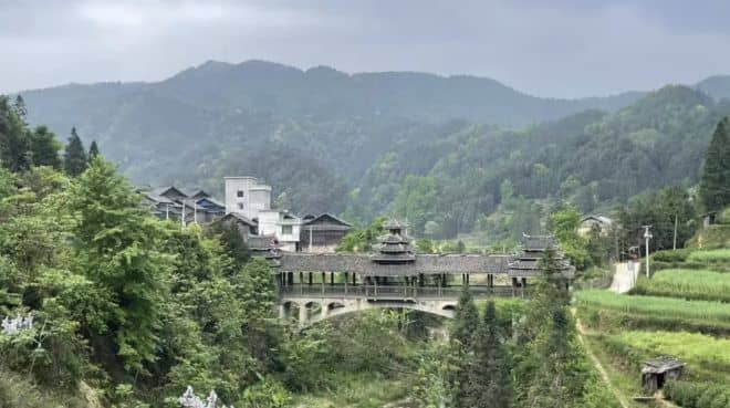 DM_20250728211509_001_结果.jpg DM_20250728211509_001_结果.jpg