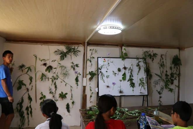 DM_20250811205807_002_结果.jpg DM_20250811205807_002_结果.jpg