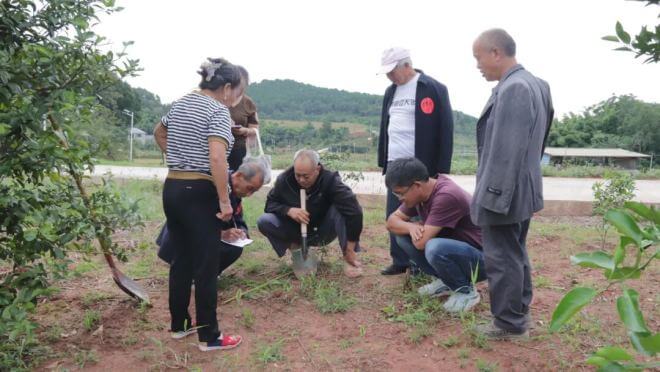 气候农食项目 | 保护性耕作实践案例：...